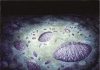 Earliest evidence of reproduction in a complex organism