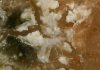 Earth’s mineralogy unique in the cosmos
