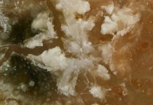 Earth’s mineralogy unique in the cosmos