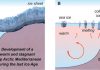 Heat release from stagnant deep sea helped end last Ice Age