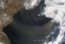 Intensity of desert storms may affect ocean phytoplankton