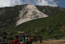 Landslides Triggered by Nepal Earthquakes