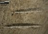 Marks on 3.4-million-year-old bones not due to trampling, analysis confirms