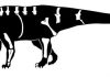 Meet a new species of dinosaur