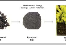 Scientists turn oily soil into fertile ground