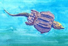 Study shows ancient British shores teemed with life