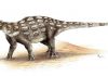 Tail As Old As Time – Researchers Trace Ankylosaur’s Tail Evolution