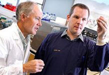 Volcanic bacteria take minimalist approach to survival