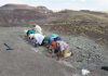 Amateur paleontologist finds rare fossil of fish in Arizona