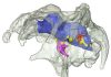 Are preprints in paleontology really that radical?