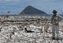 Are we wiser about tsunamis? Expert says yes and no