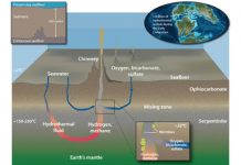 Evidence of ancient life discovered in mantle rocks deep below the seafloor