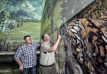 From dig to digital: Australia’s iconic dinosaurs as you’ve never seen them before