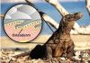 Giant killer lizard fossil shines new light on early Australians