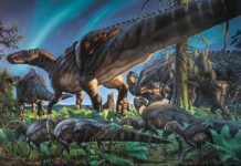 Its a lost world: Researchers discover new dinosaur in Arctic