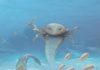 Meet Pentecopterus, a new predator from the prehistoric seas