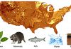 New study highlights valuable tool for studying living and extinct animals