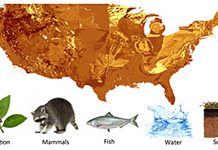 New study highlights valuable tool for studying living and extinct animals