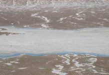 Oxygen oasis in Antarctic lake reflects Earth in the distant past