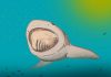 Researchers discover new lineage of prehistoric, plankton-eating sharks