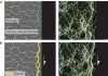 Scientists simulate Earth’s middle crust to understand earthquakes