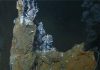 Scientists solve the riddle of deep ocean carbon