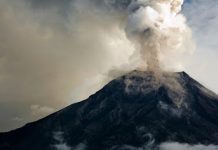 Siberian Traps likely culprit for end-Permian extinction