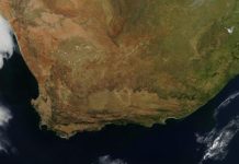 The Karoo Basin and the end Permian mass extinction