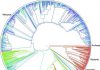 ‘Tree of life’ for 2.3 million species released