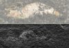 Unlocking secrets of how fossils form