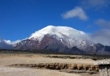Upslope migration of tropical plants due to climate change