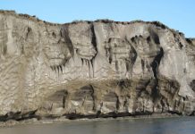 Ancient permafrost quickly transforms to carbon dioxide upon thaw