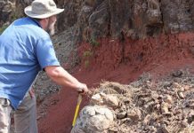 Asteroid impact, volcanism were one-two punch for dinosaurs