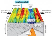 Climate change leaves its mark on the sea floor? Maybe not, study says