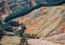 Efficiently Predicting Shallow Landslide Size and Location