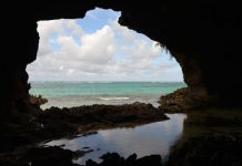 Fossils reveal humans were greater threat than climate change to Caribbean wildlife