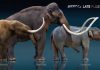 Loss of large land mammals could change landscapes forever
