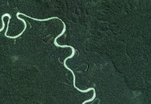 New Research Finds Amazonian Natives Had Little Impact on Land