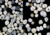 New insights into the dynamics of past climate change