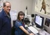 New studies explore impact of environmental change on tooth wear