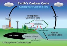Paleoclimate researchers find connection between carbon cycles, climate trends