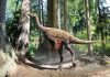 Prehistoric plumage patterns