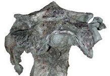 Rare braincase provides insight into dinosaur brain