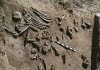 Research backs human role in extinction of mammoths, other mammals