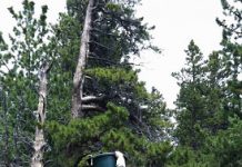 Researchers advance understanding of mountain watersheds