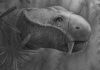 Study explores ancient ecosystem response to a “big five” mass extinction