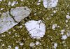 Study questions dates for cataclysms on early moon, Earth