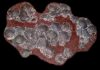 Taking dinosaur temperatures with eggshells