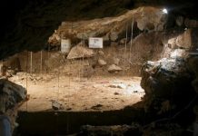 The environment of the Cantabrian Region in the course of 35,000 years is reconstructed