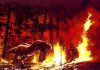 The fiery world before dinosaurs